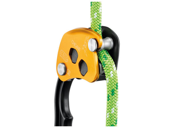 Petzl rig