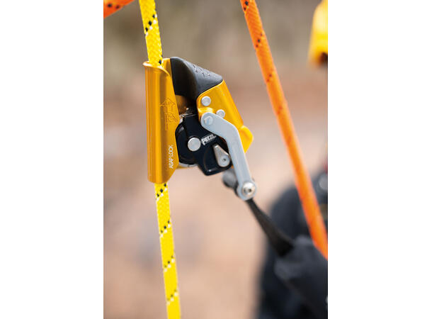 Petzl asap lock