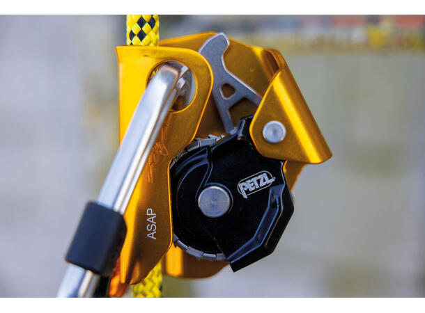 Petzl ASAP EN 353 2, EN 12841 type A
