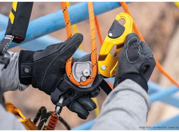 Petzl Rig reparerbar 